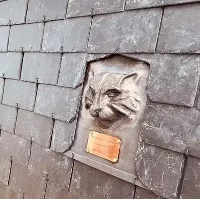 couvreur charpentier Saint-Domineuc-1