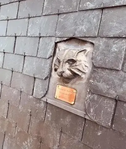 couvreur Tinténiac-1