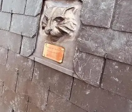 démoussage de toiture Plouër-sur-Rance-1