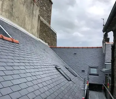 démoussage de toiture Saint-Domineuc-3