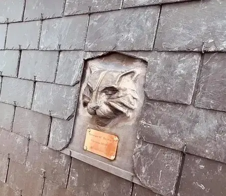 démoussage de toiture Tinténiac-2