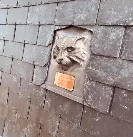 entreprise de rénovation Saint-Domineuc-3