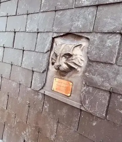 entretien de toit Dinan-3