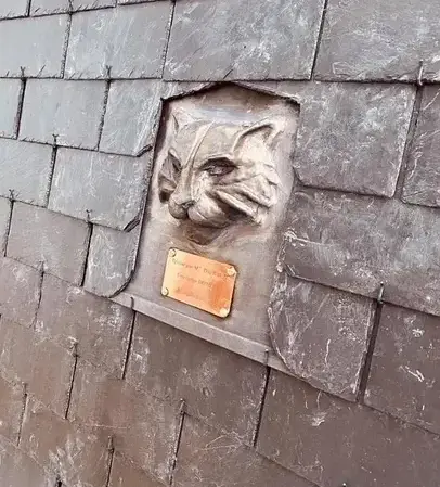 entretien de toit Miniac-Morvan-5