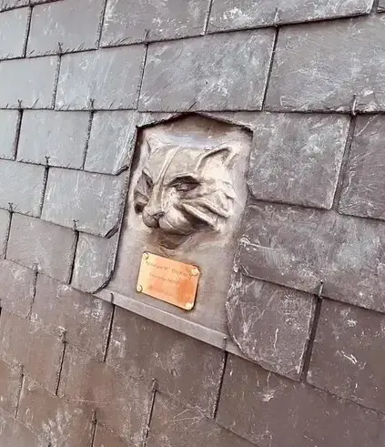 entretien de toit Plouër-sur-Rance-4