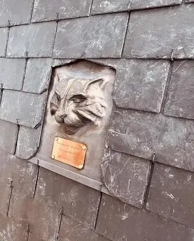 entretien de toit Saint-Domineuc-4