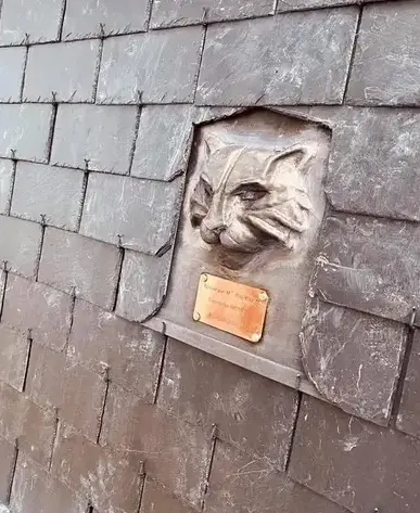 entretien de toit Saint-Père-Marc-en-Poulet-1