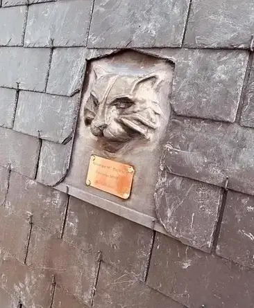 installateur de Velux Pleugueneuc-5