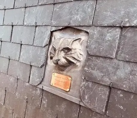 installateur de Velux Plouër-sur-Rance-1