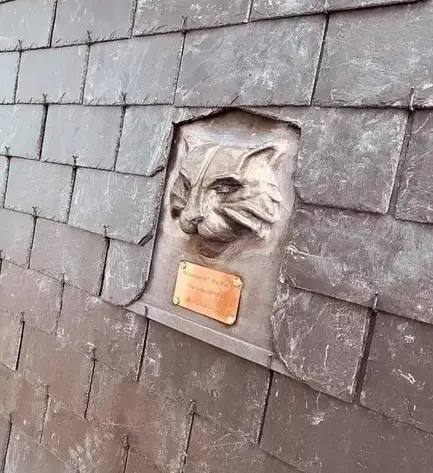 réparation de toit Dinan-2