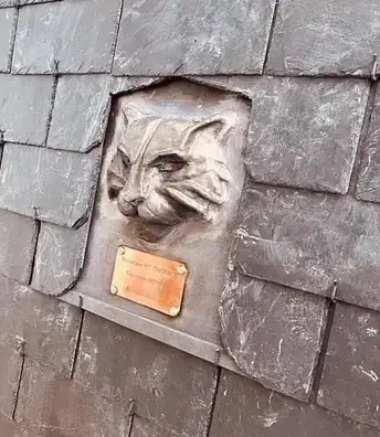 réparation de toit Plouër-sur-Rance-3