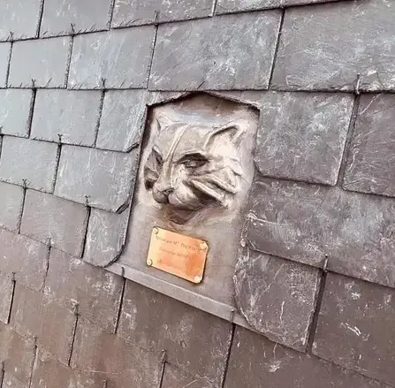 réparation de toit Saint-Domineuc-4