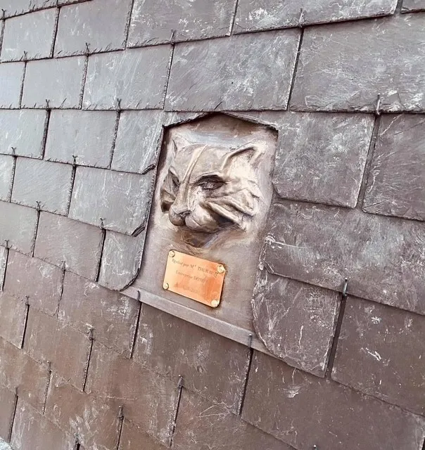 reparation de toit saint domineuc